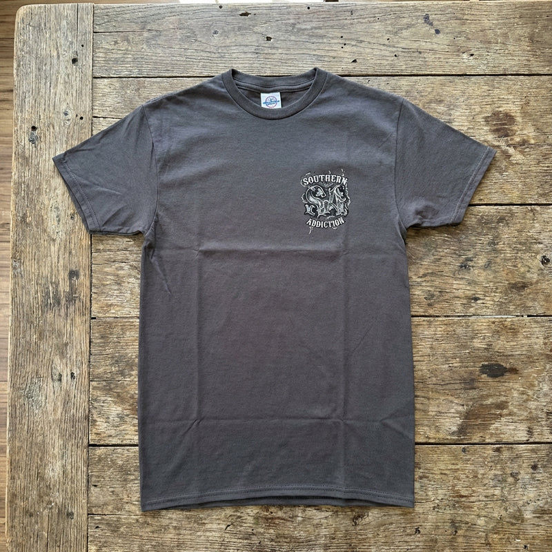 Load image into Gallery viewer, 6156 - Southern Addiction Land Of The Free T Shirt
