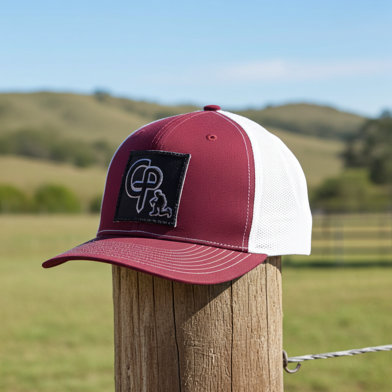 Load image into Gallery viewer, CP113 - Cowboy Prayer 3D Black Cardinal/White Cap
