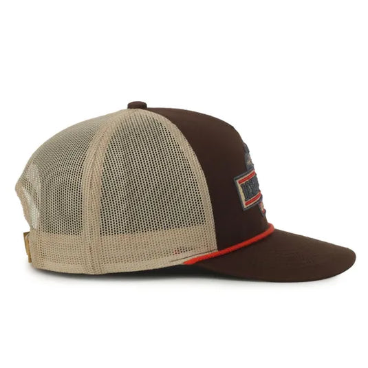 CANARY - 02 - Brown - Beige