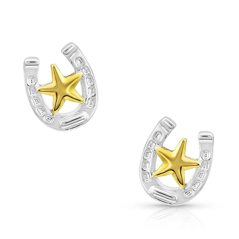 Load image into Gallery viewer, ER803 - Montana Silversmiths Small Stars &amp; Horseshoe Post Earrings
