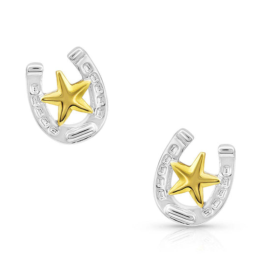 ER803 - Montana Silversmiths Small Stars & Horseshoe Post Earrings