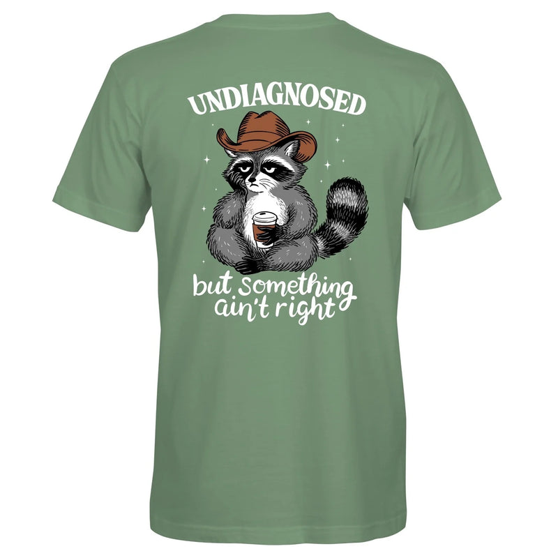 Load image into Gallery viewer, S400 - Undiagnosed Raccoon - Laurel Green
