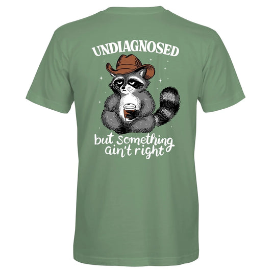S400 - Undiagnosed Raccoon - Laurel Green