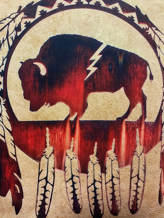 TMSWST4 - Native American Buffalo Sweatshirt