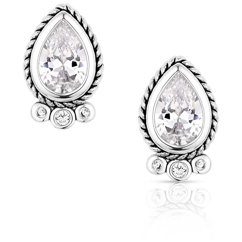 Load image into Gallery viewer, ER6100 - Montana Silversmiths Angel Joy Earrings
