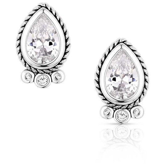 ER6100 - Montana Silversmiths Angel Joy Earrings