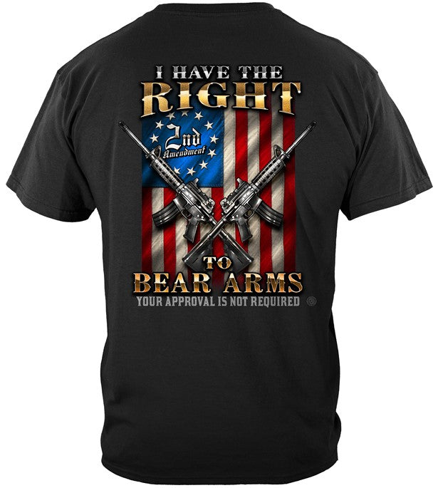 RN2489 - 2nd Amendment Your Approval Is not Required